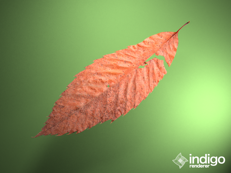 leaf.png