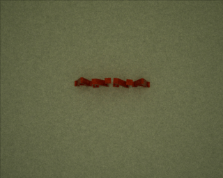 im1203619127.png