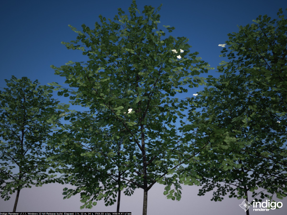 trees3.jpg