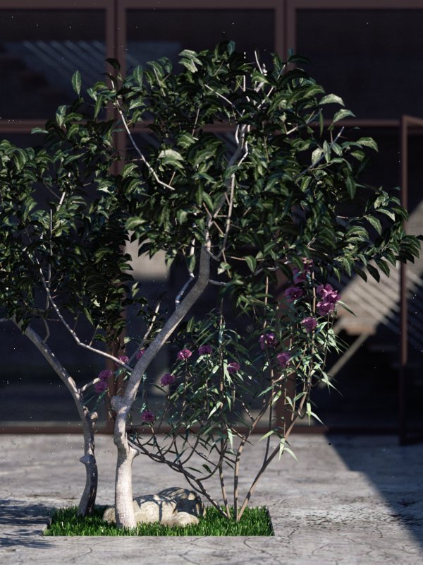 Trees.jpg