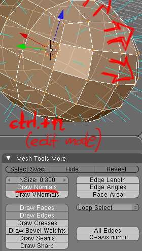 Normals copy.jpg