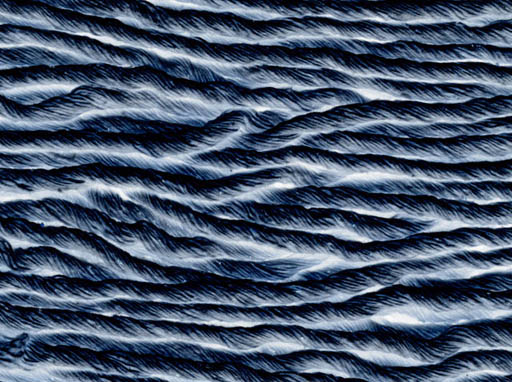 ZooTextiles.019.png