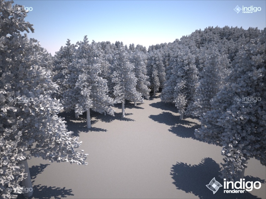 trees.jpg
