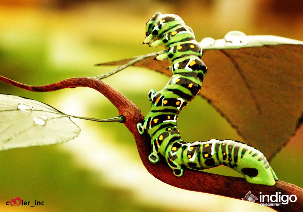 caterpillar_Ektachrome-400XCD.jpg