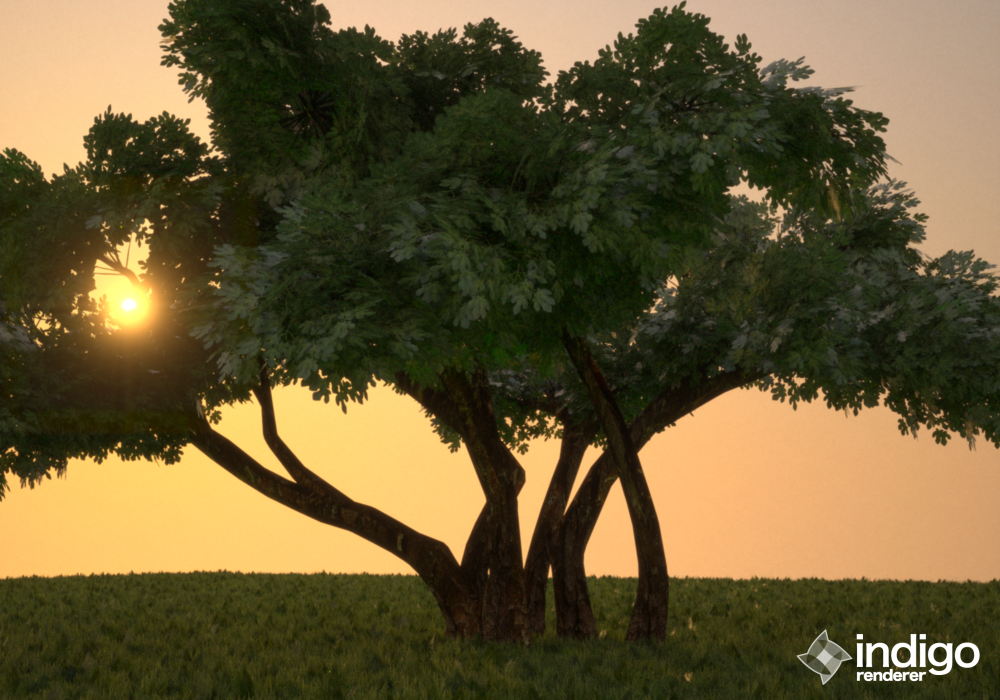 tree.png