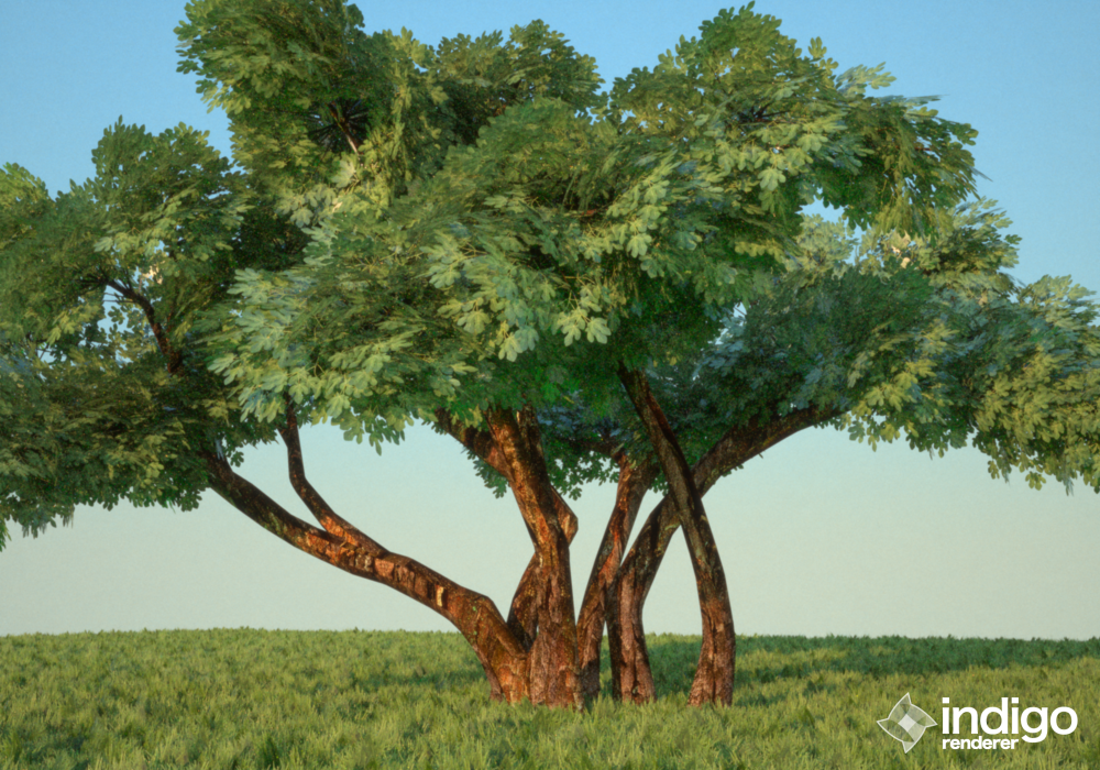 tree_[19_11_2009_12_38_29_p_m_].png