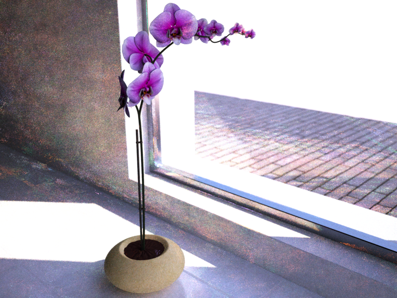 Orchidee_Test.png